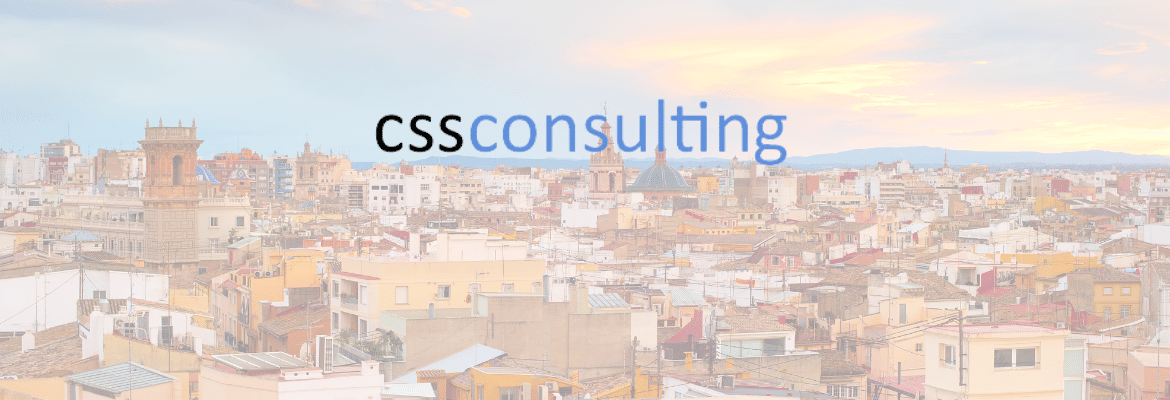 CSS Consulting